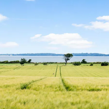 Ferienhaus 1 Bedroom Cozy In Rudkøbing